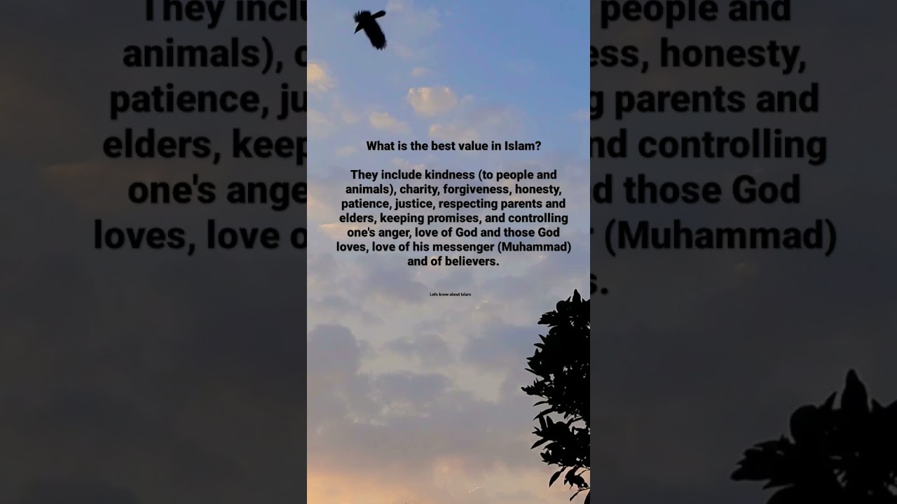 Best values in Islam❤️#islamicvideo #viralvideo#ytshorts #islam#bestvalue #values #loveislam #foryou