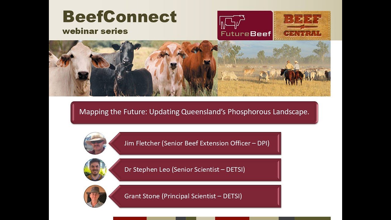 Mapping the Future: Updating Queensland's Phosphorus Landscape