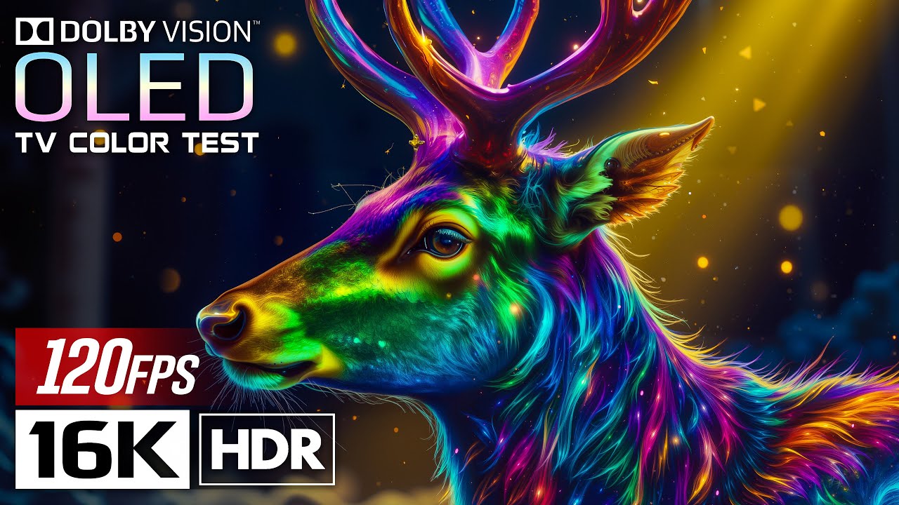 JAW-DROPPING OLED TEST Video | 16K HDR 120fps Dolby Vision (8K/4K Video TV)