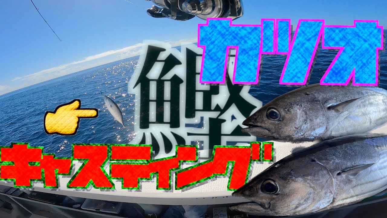 【カツオキャスティング】初心者がカツオ釣りしたらどうなるの？茨城の鰹が激アツ！！