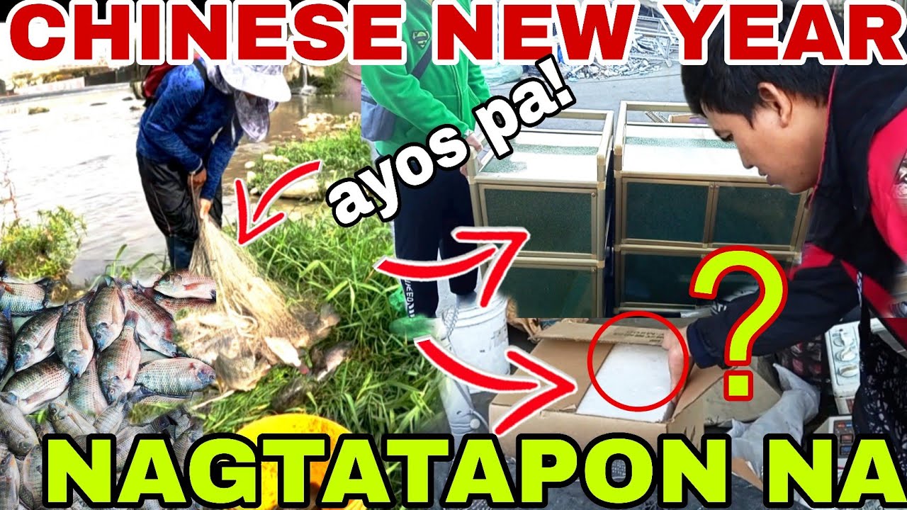 Anglaki ng Tinapon mga Gamit + Fishing sa lungga ng mga ISDA