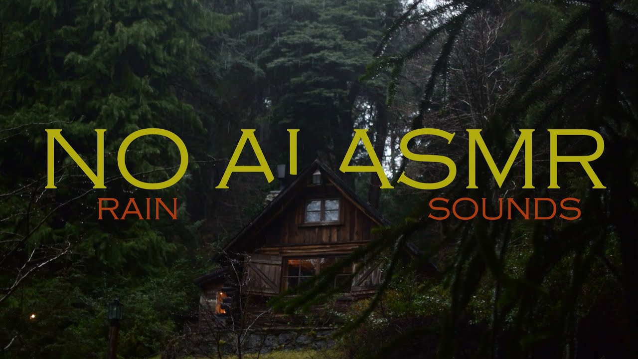 3 Hours Rain Sounds in a Forest Cabin | Relaxing Ambience for Sleep & Study