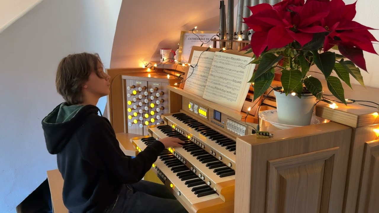 Wachet auf, ruft uns die Stimme - J.S. Bach - BWV 645 by Maxou L'Organiste BG