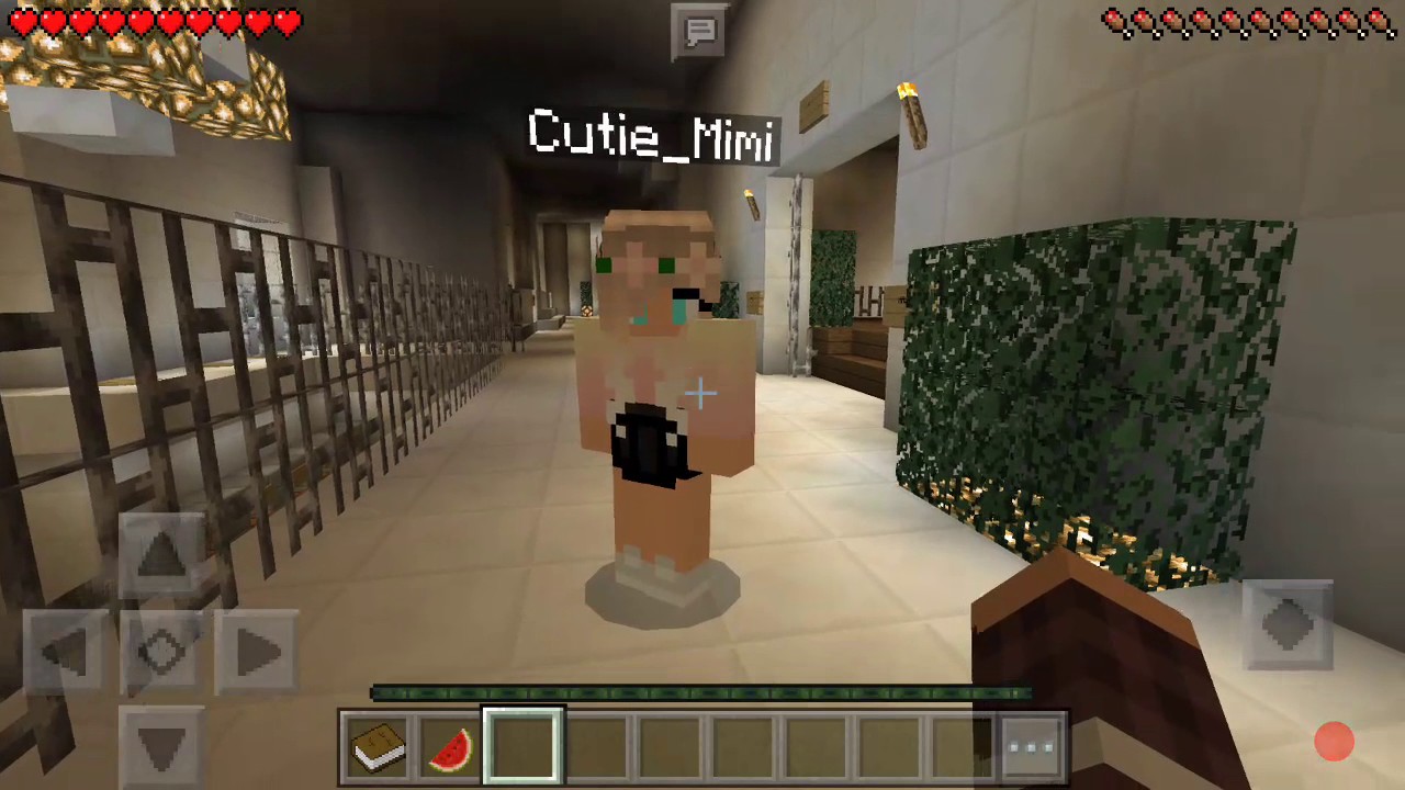 NIKKI MINECRAFT:Here with my sister Cutie_Mimi going to school