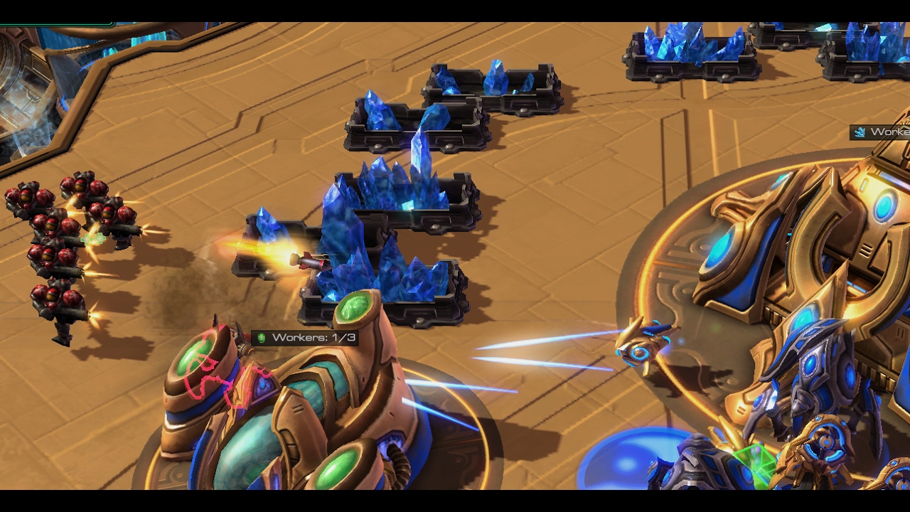 Maru's TvP MM drop + Liberator Opening - The PiG Daily #113
