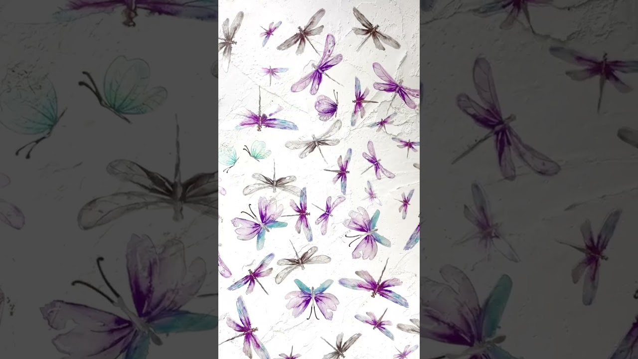 아세테이트 필름 나비🦋