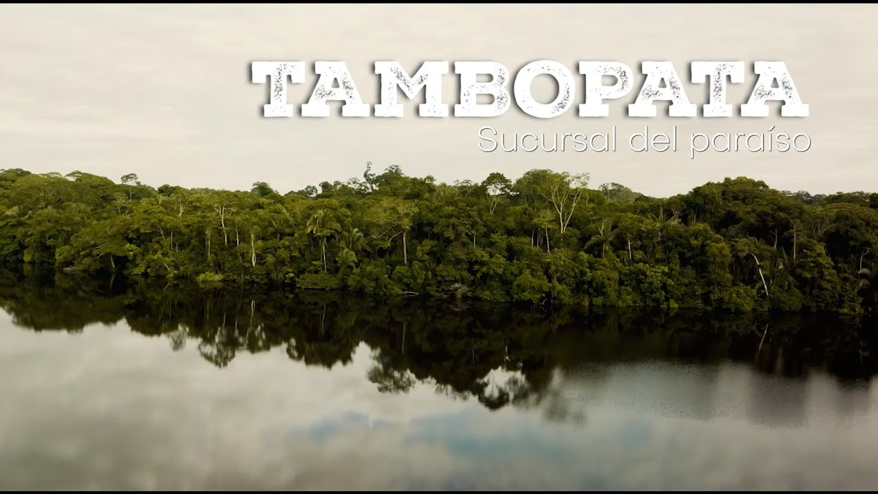 Reserva Nacional de Tambopata: sucursal del paraíso - Rutas ProInversión (Madre de Dios)