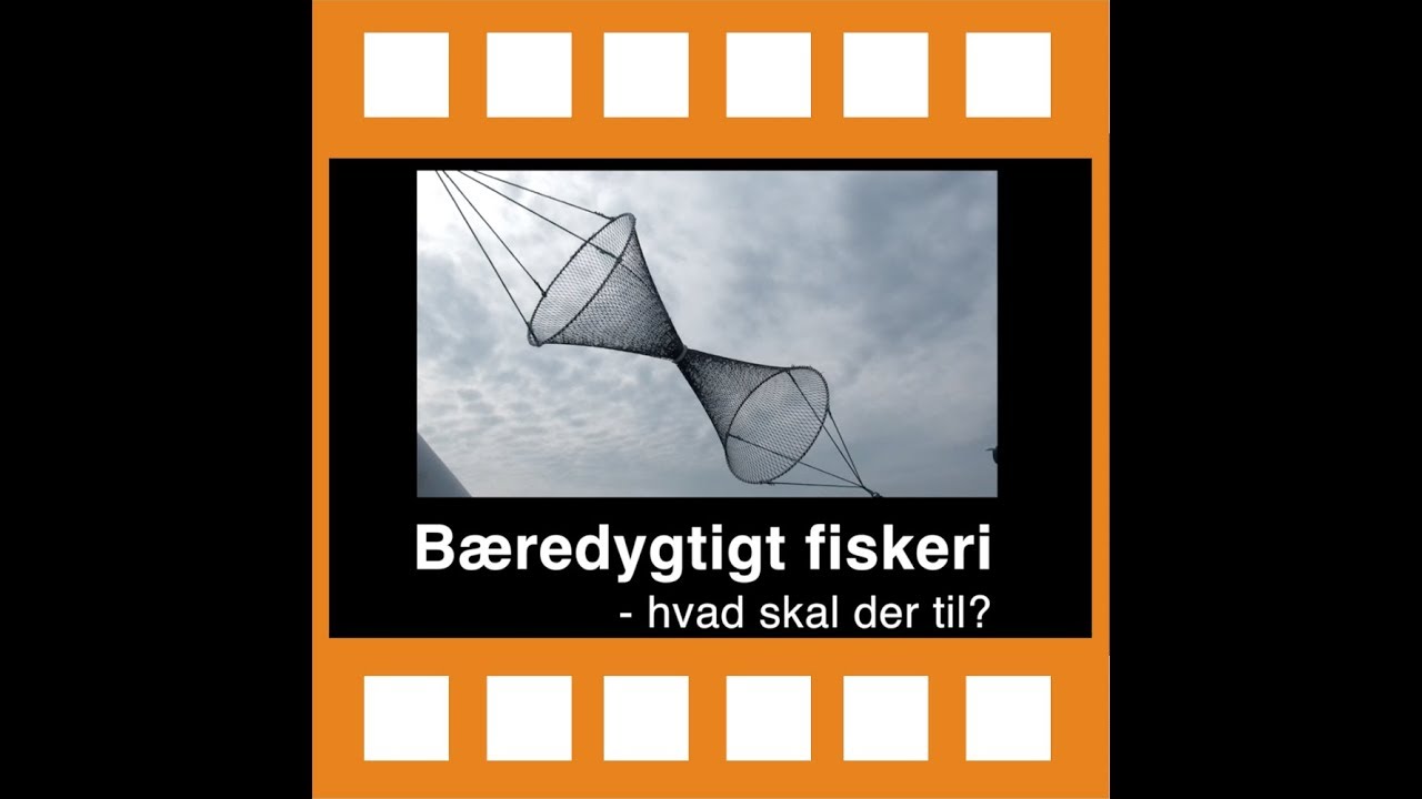 3 Temafilm: Et bæredygtigt fiskeri - hvad skal der til?