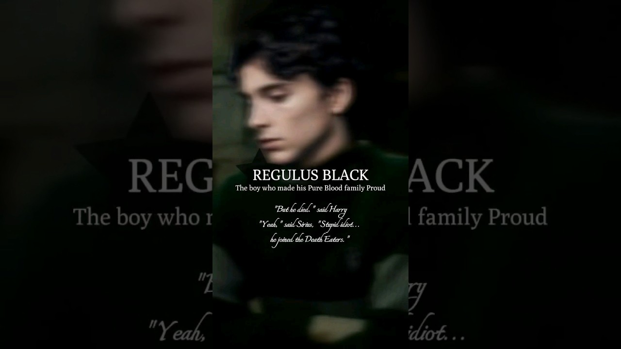 Regulus Black edit || Family Line #harrypotter #jkrowling #hp #regulusblack #slytherin #conangray