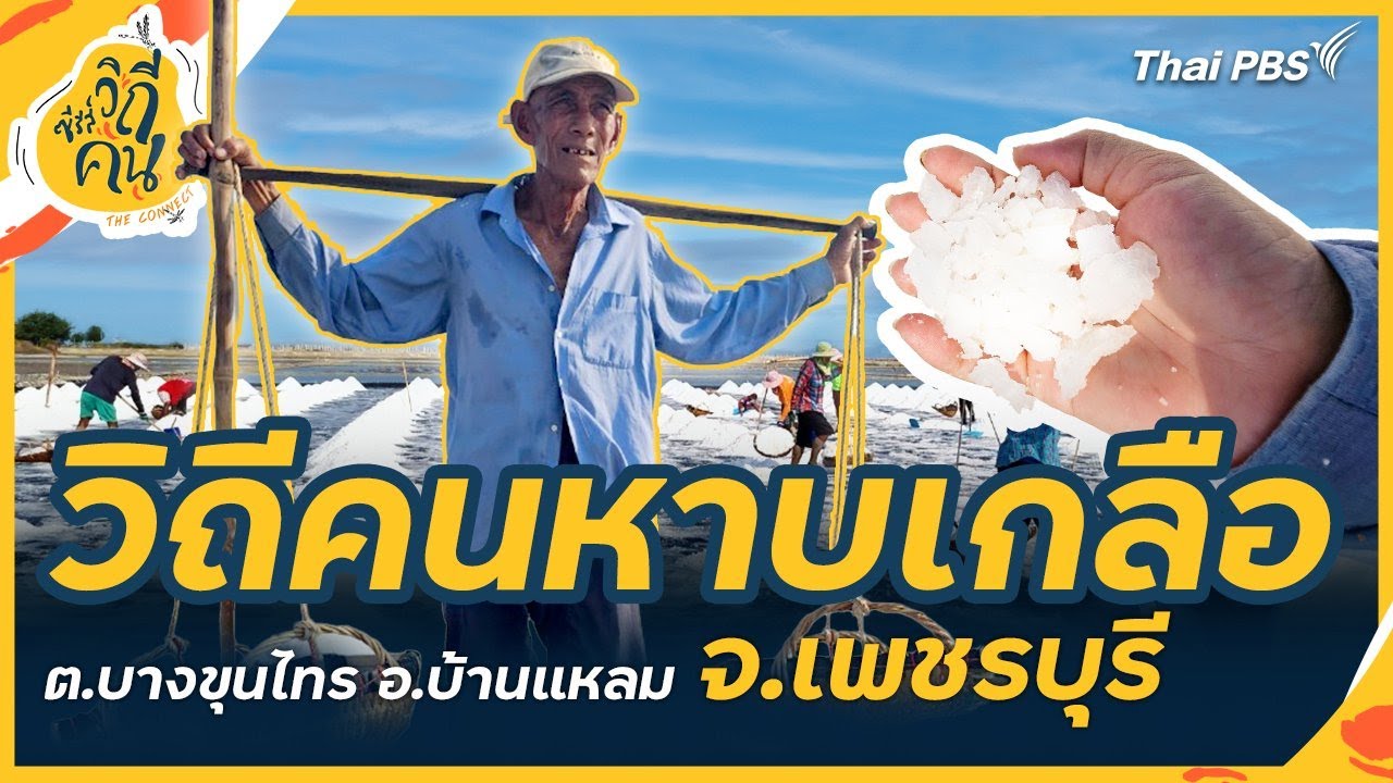 วิถีคนหาบเกลือ ต.บางขุนไทร อ.บ้านแหลม จ.เพชรบุรี | ซีรีส์วิถีคน