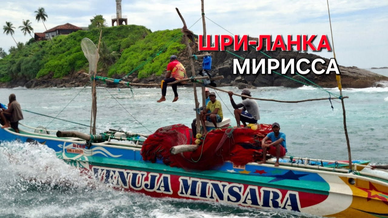 МИРИССА. Закат на Coconut tree hill. Тур на китов... ШРИ-ЛАНКА