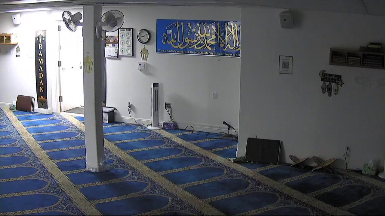 ICSD-EC Live Stream