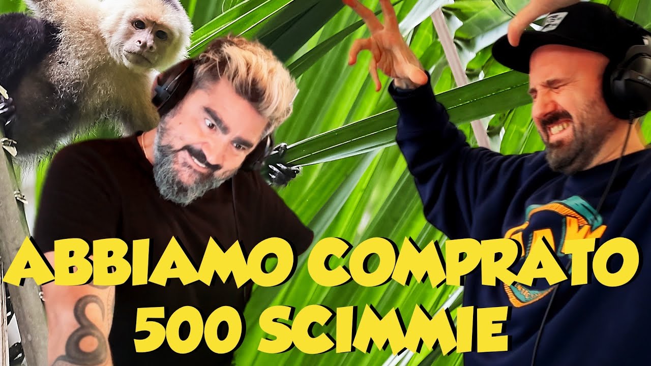 ABBIAMO COMPRATO 500 SCIMMIE