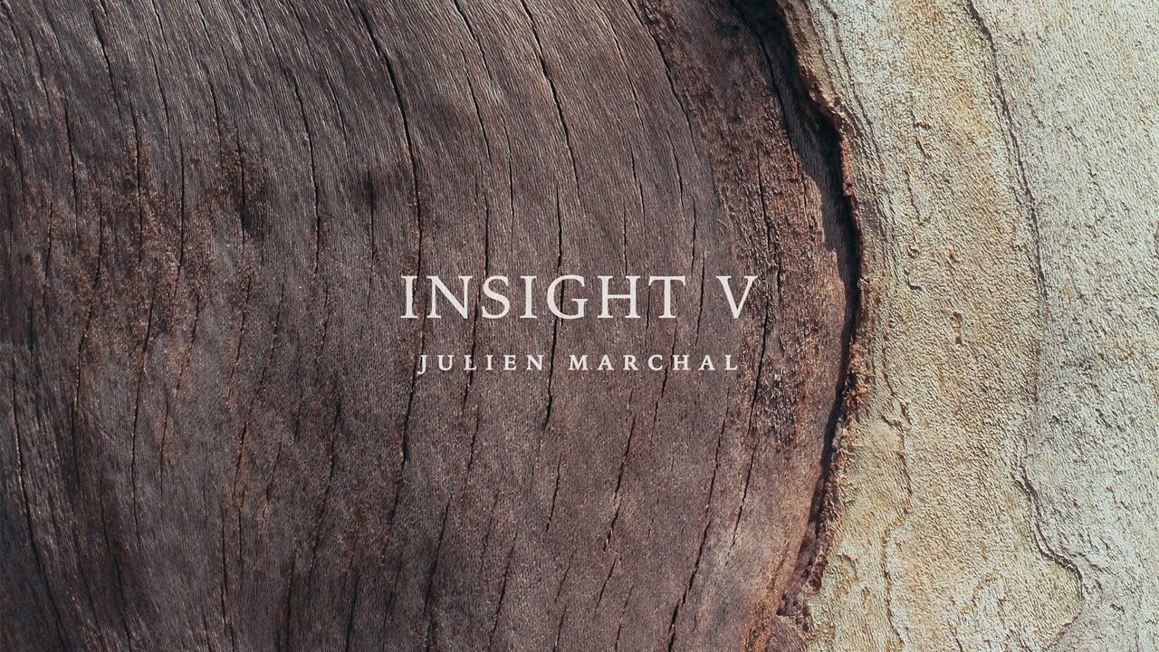 Julien Marchal - Insight V (Full album)