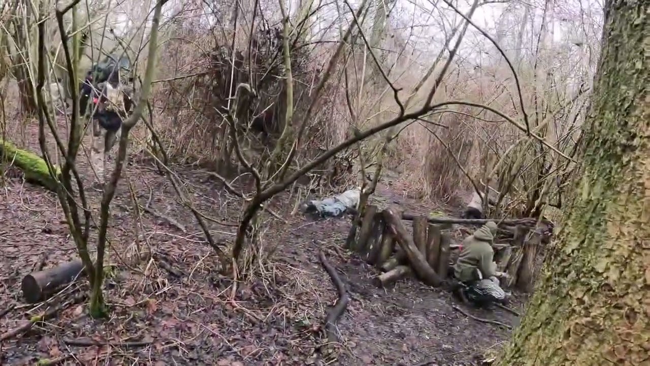 Airsoft Balls and Arrow