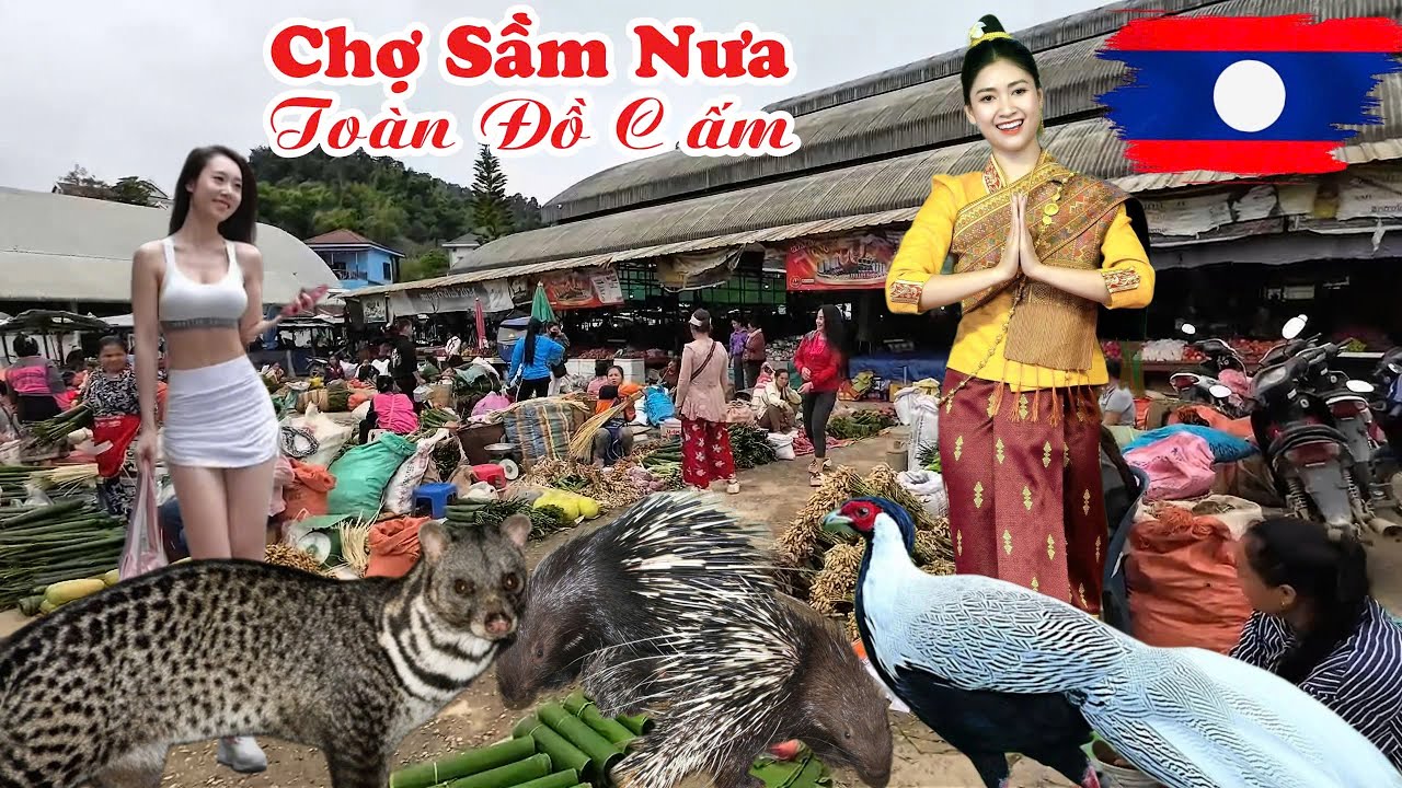 Đột Nhập Ngôi Chợ Lào Bán Toàn Hàng Cấm Ở Việt Nam Là Nhập Kho Luôn || Ngân Vlog Khám Phá Nước Lào