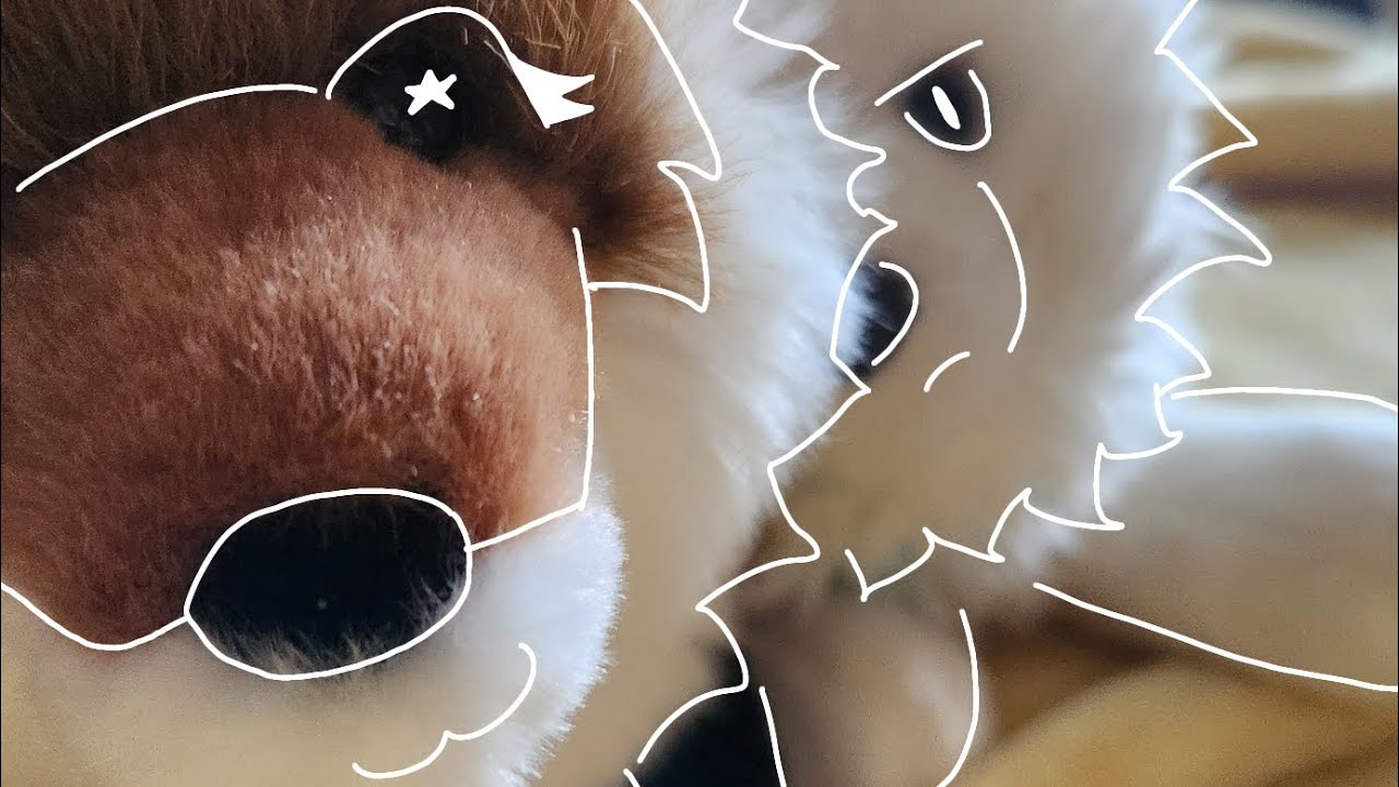 Unboxing+reviewing a new douglas plushie!