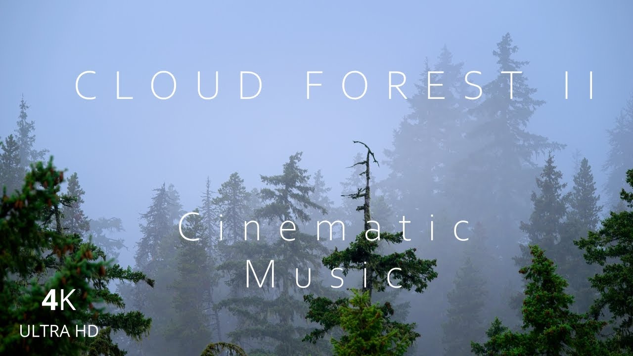 Cloud Forest II | Ambient Nature | Cinematic Music