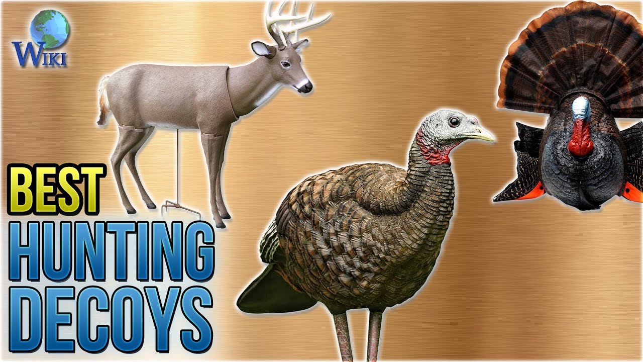 10 Best Hunting Decoys 2018