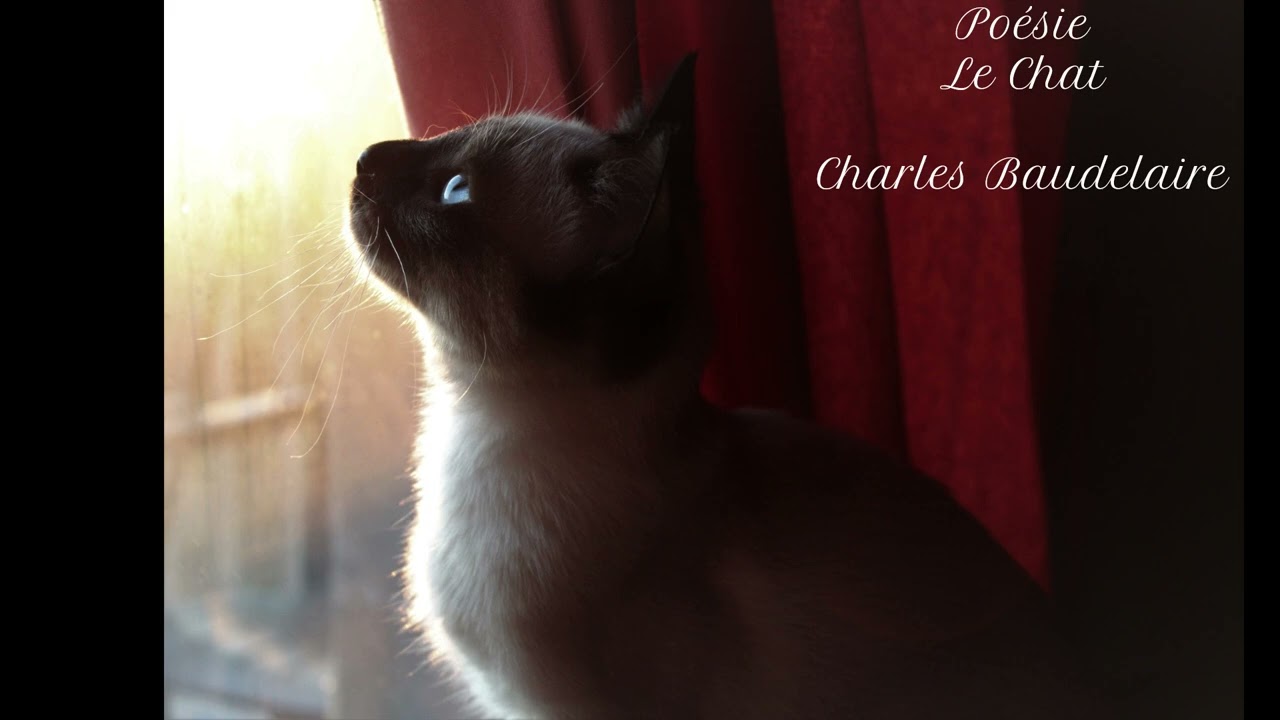 Poésie  