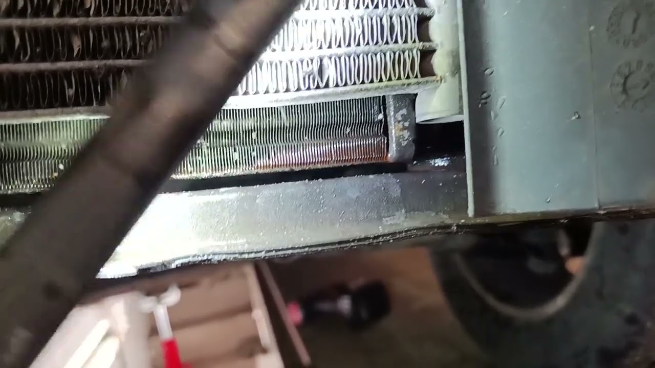 Renault Scenic II wymiana alternatora, a przy okazji cieknie chłodnica.