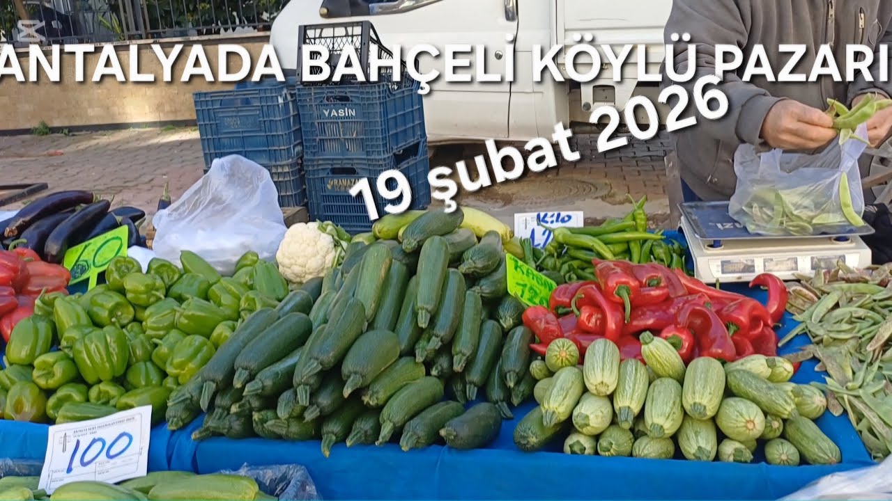 ANTALYADA 🍒PAZAR🍒 FİYATLARI KIŞIN NELER BULUNUR PAZARDA ?