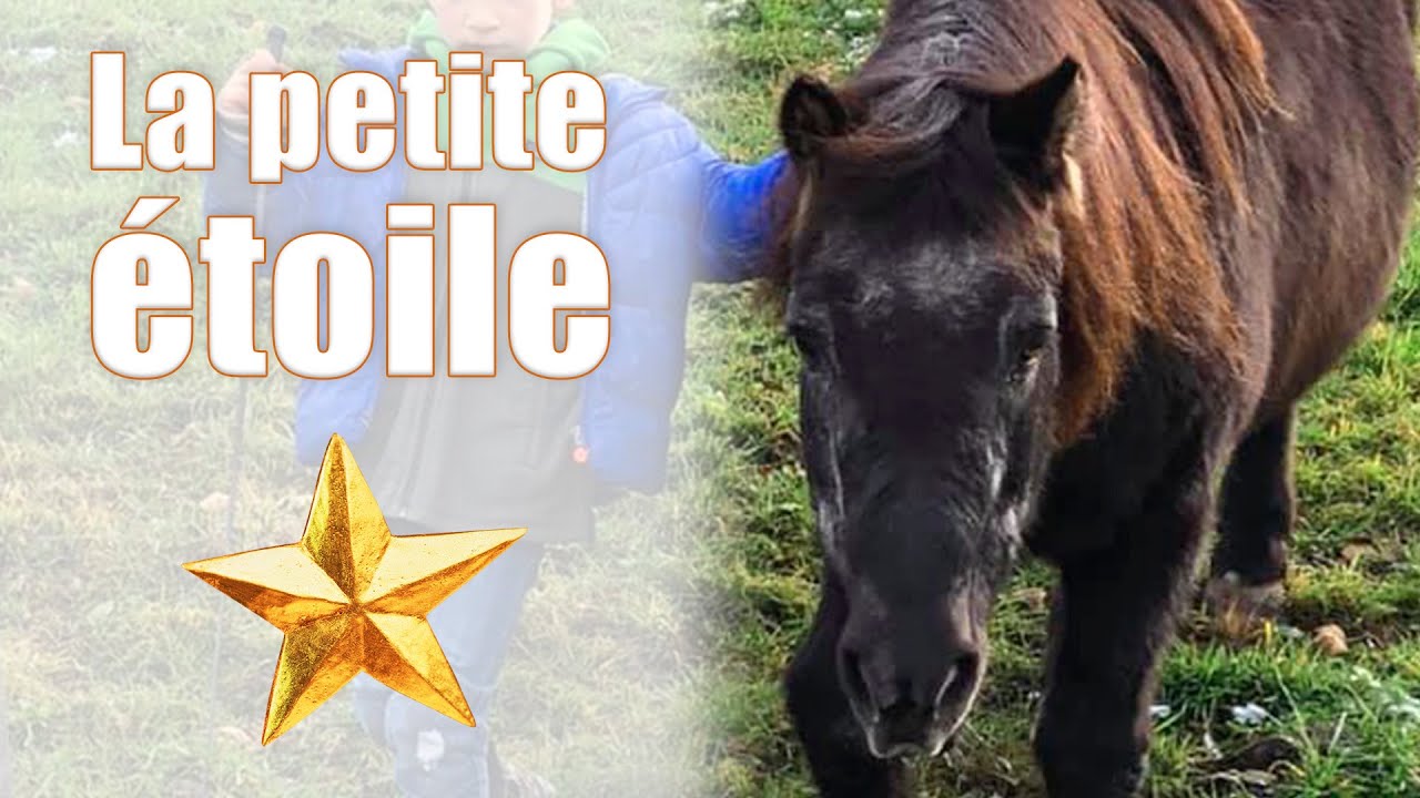 Une petite étoile d'une grande modestie