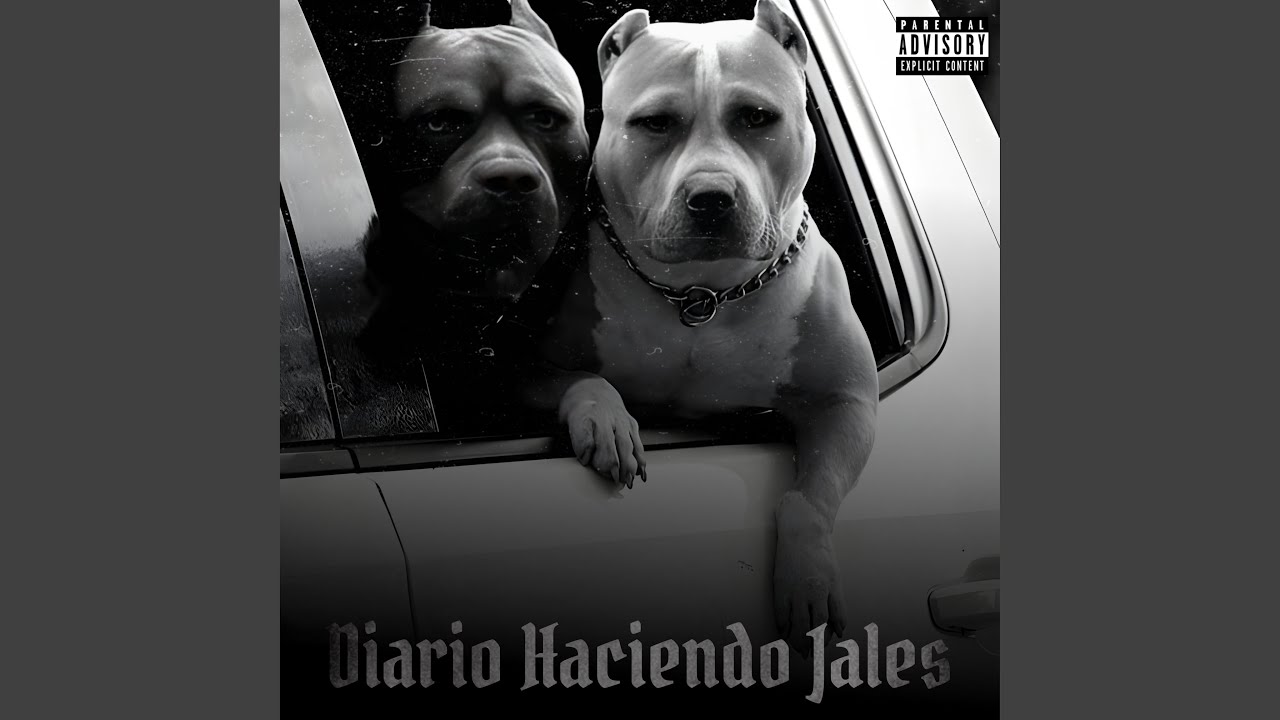 Diario Haciendo Jales