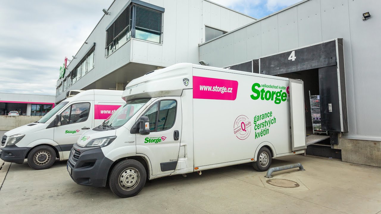 STORGE eng sub