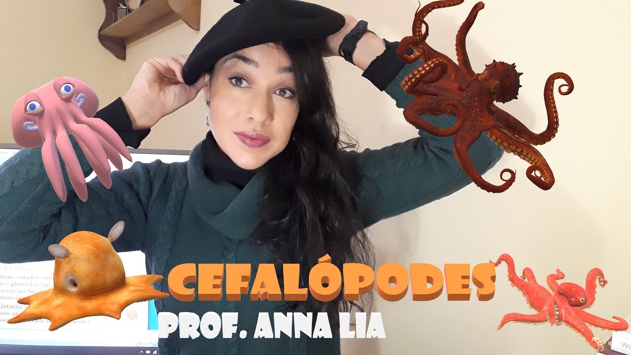 SEGUNDO ANO - MOLUSCOS - CEFAL&Oacute;PODES - PROF.  ANNA LIA