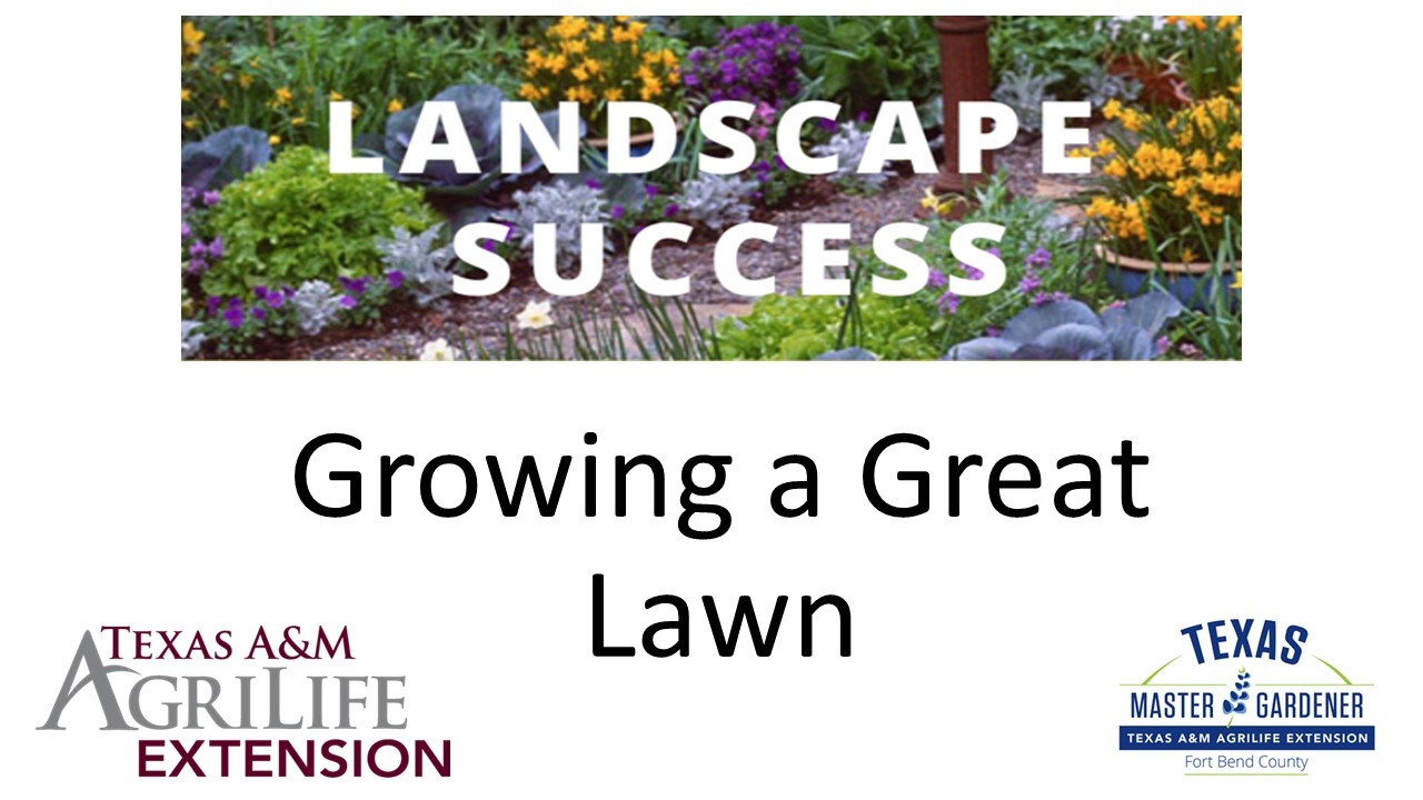 Growing a Great Lawn (01.23.2026)