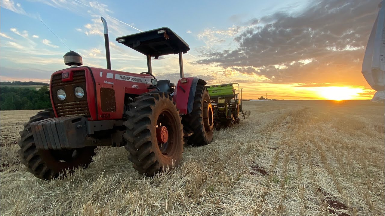 LARGANDO O PLANTIO DA SOJA SAFRINHA COM O MASSEY FERGUSON 275 DO MEU VÔ E JÁ ACONTECEU CAGADA ￼