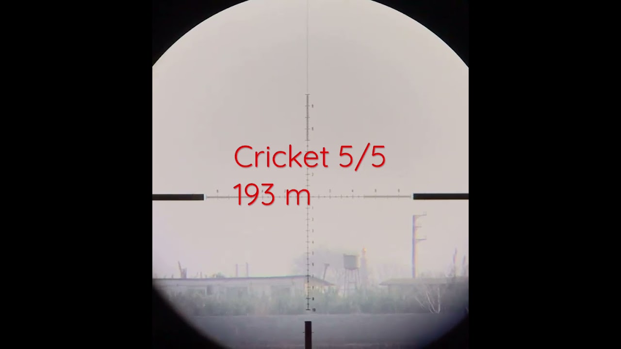 Kalibrgun kricket 5/5