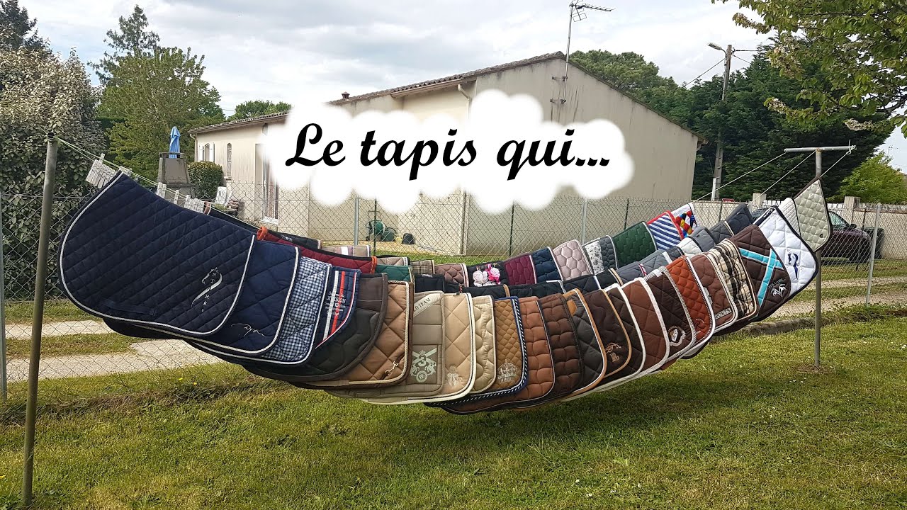Ma collection de tapis de selle - version 2020.