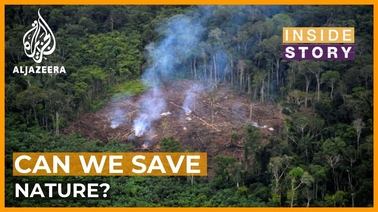 UN sounds alarm and offers rescue plan for deteriorating ecosystems | Inside Story