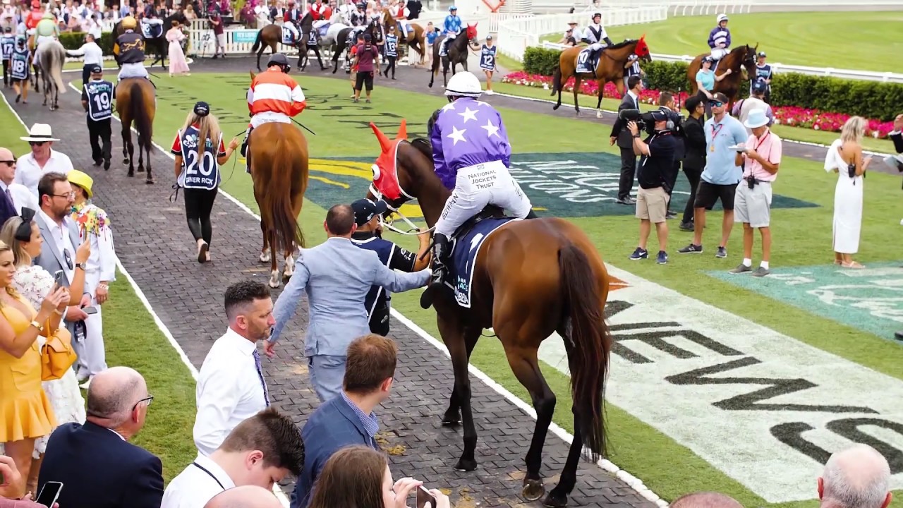 2020 National Broodmare Sale - Invincibella