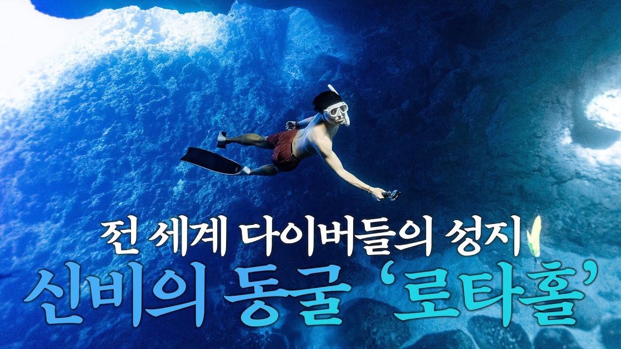 전 세계 다이버들의 성지!! 모험과 신비의 섬에서 즐기는 환상적인 경험 '로타홀' 프리다이빙!!! - 로타🌊(2)