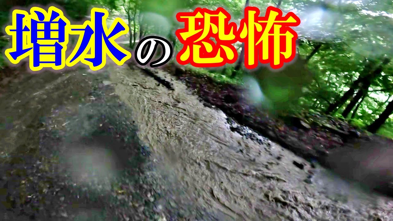 【恐怖】源流でゲリラ豪雨が降ると川と林道は一瞬でこうなる