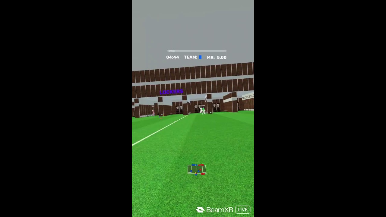 VRFS With Viewers! (VR Football Simulator)