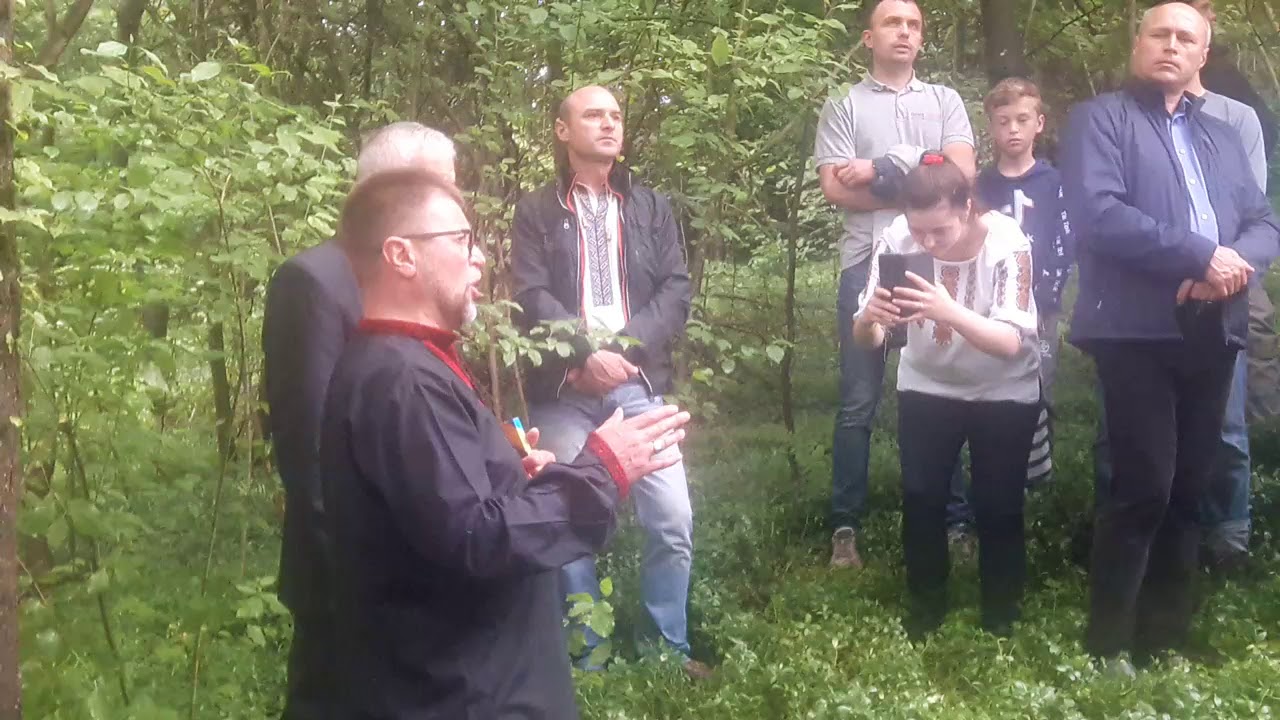 У ЛІСІ ТЕМНОМУ ПІД БІЛОЮ БЕРЕЗОЮ
