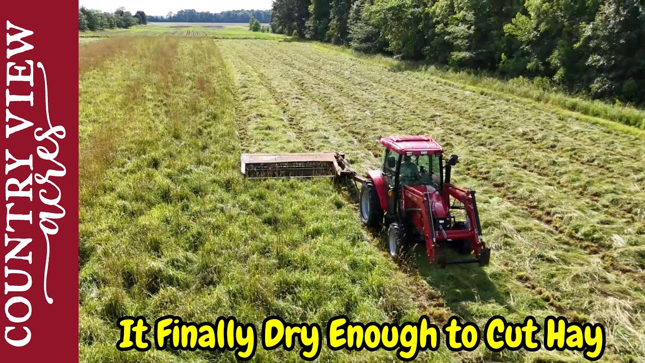 Finally Cutting our Hay Fields & Visiting the Homestead Freedom Festival