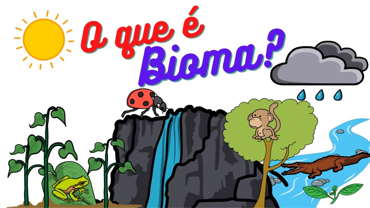 O que é bioma?