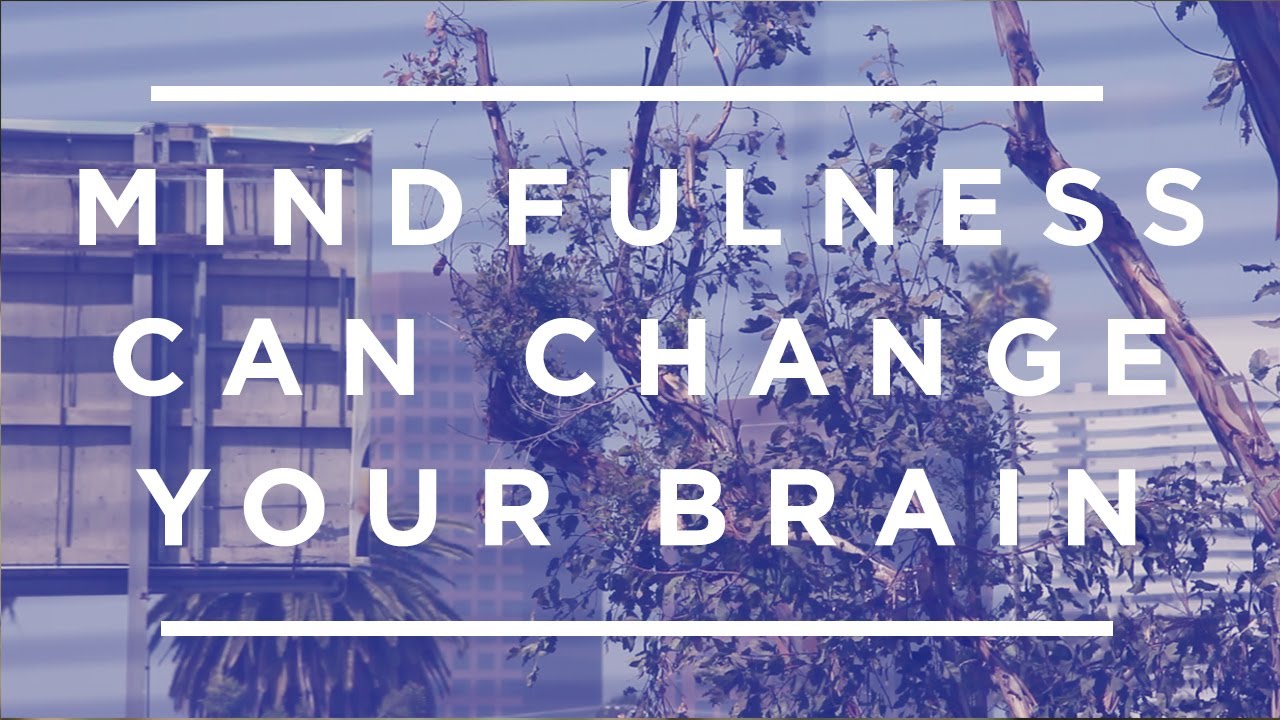 How Mindfulness Can Change Your Brain [Jeffrey Schwartz]