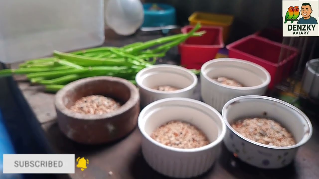ANO  NGA  BA  ANG DAPAT IHANDA BAGO MAG BREED ANG IBON NATIN 