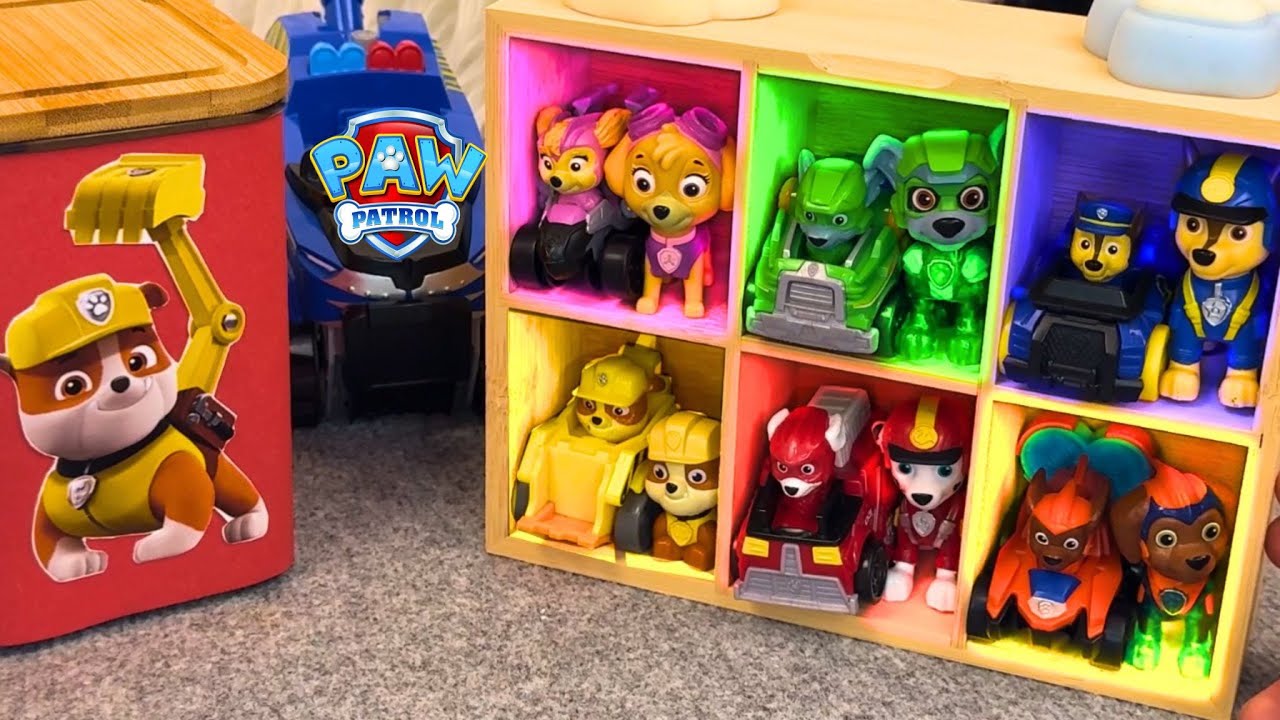 Unboxing Boxes of Paw Patrol Toys Collection | Playing with Paw Patrol toys | Skye Chase Rocky