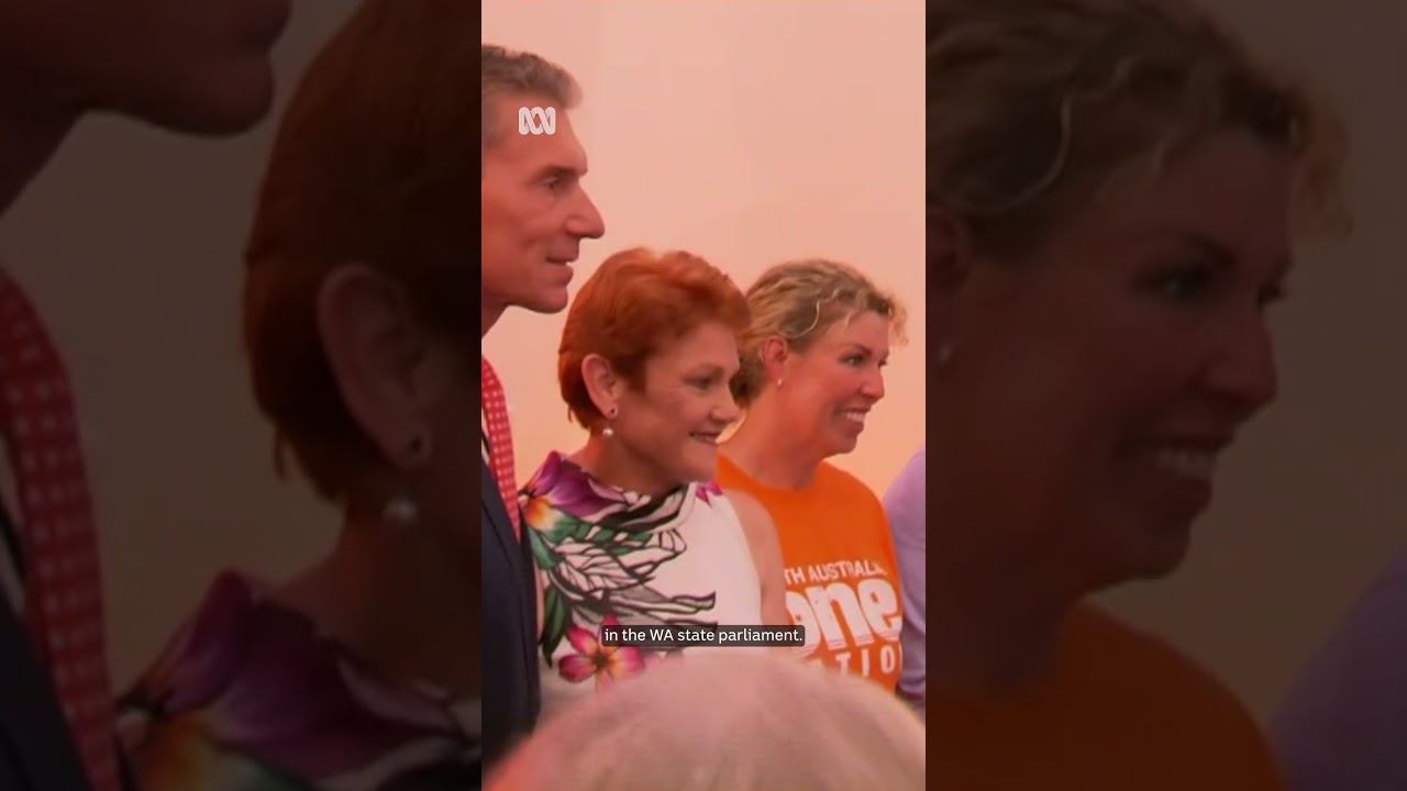 What One Nation's success in the SA election means for federal politics | ABC NEWS