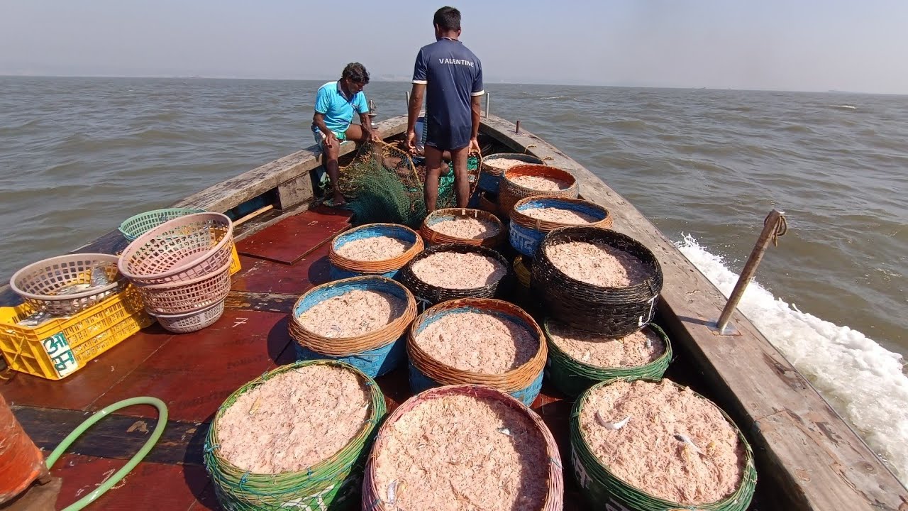 2 महिन्यानंतर बोट गेली खोल समुद्रात मासेमारीला. Deep sea fishing after 2 months.Mumbai ndian fishing