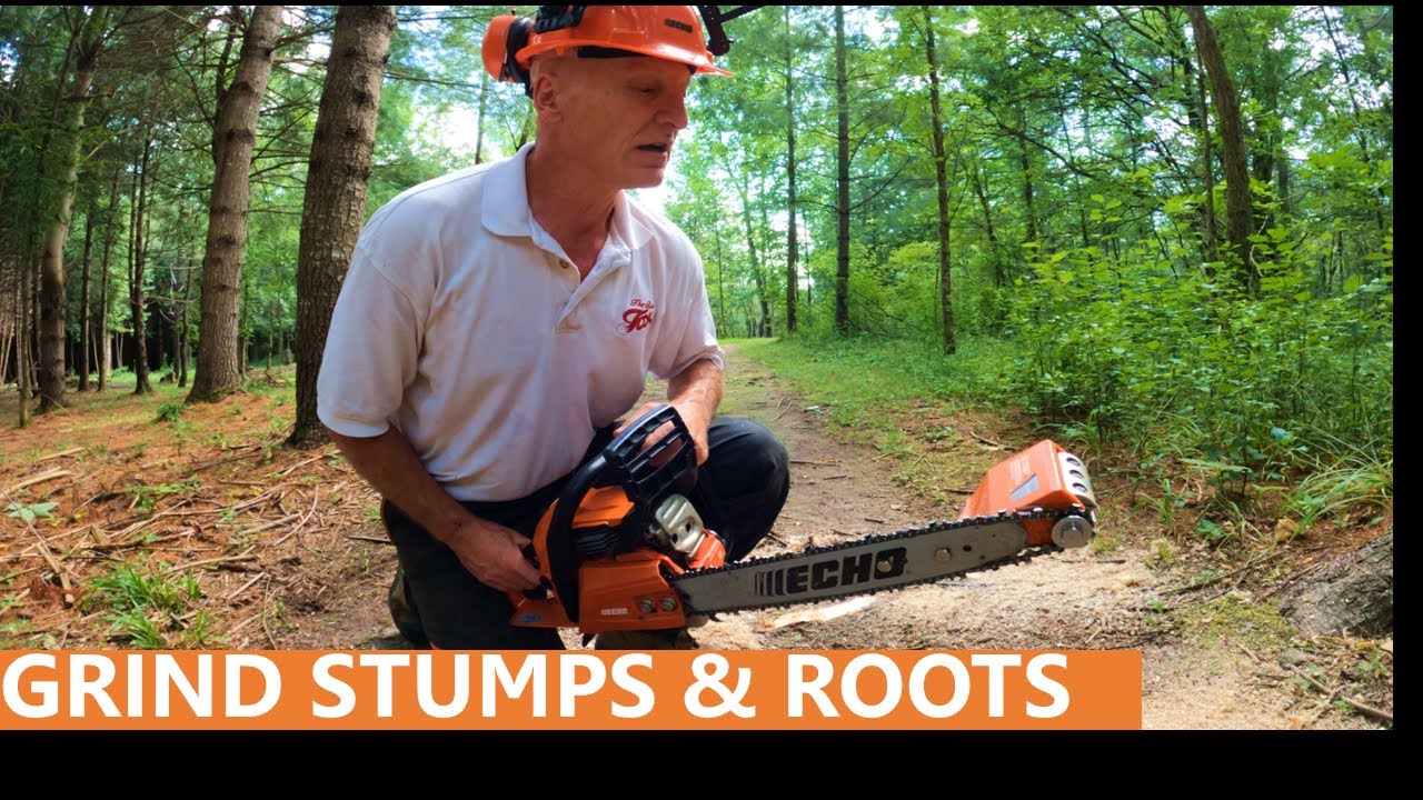 147 - Mini Stump Grinder - More than just a log peeler!  Powered by my Echo Chainsaw