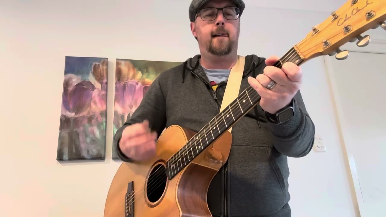 Zombie by the Cranberries cover