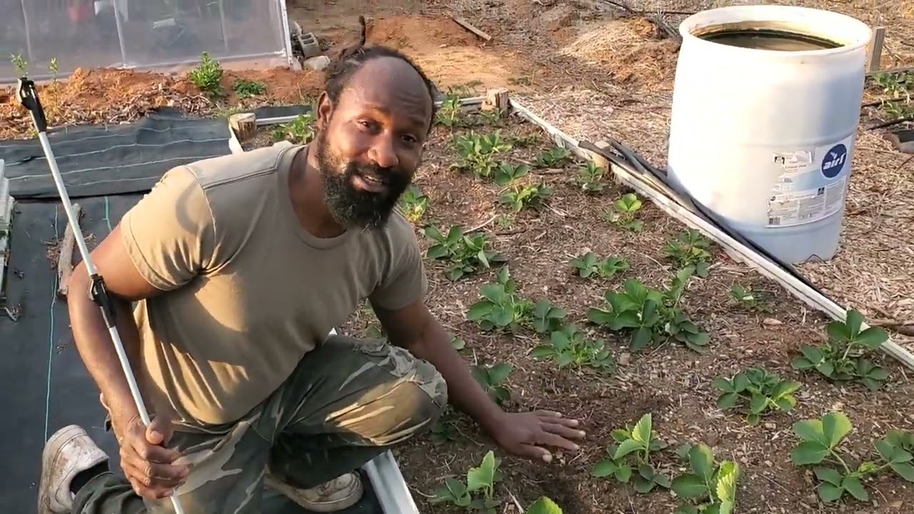 Early Spring Top Garden Tour: Before The Work Begins